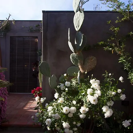 Tre Vie Con Terrazzo Giardino Pensile Appartamento